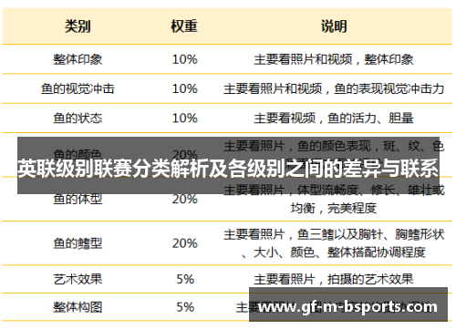 英联级别联赛分类解析及各级别之间的差异与联系