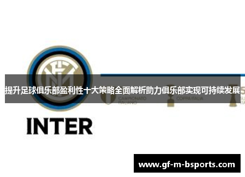 提升足球俱乐部盈利性十大策略全面解析助力俱乐部实现可持续发展