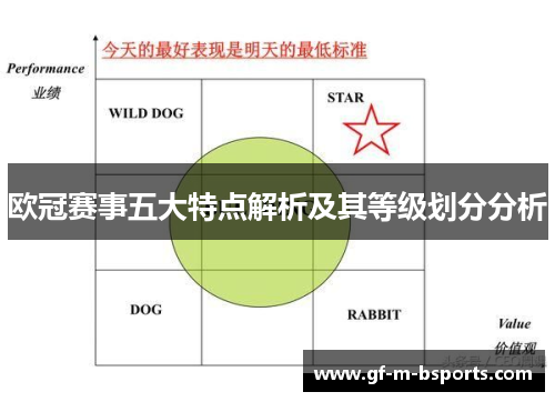 欧冠赛事五大特点解析及其等级划分分析 欧冠赛事五大特点解析及其等级划分分析