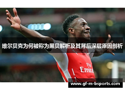 维尔贝克为何被称为黑贝解析及其背后深层原因剖析