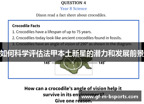 如何科学评估法甲本土新星的潜力和发展前景