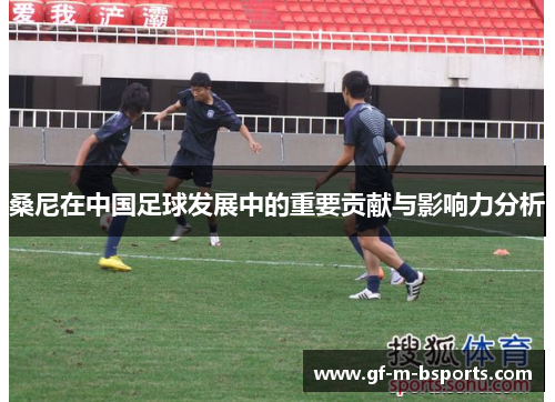桑尼在中国足球发展中的重要贡献与影响力分析