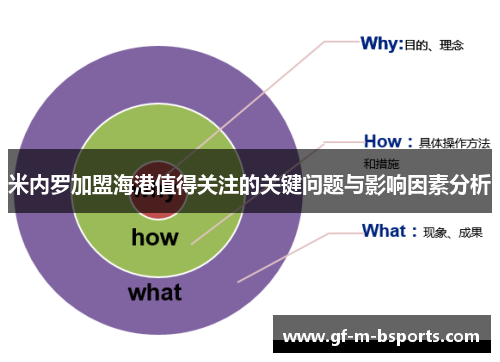 米内罗加盟海港值得关注的关键问题与影响因素分析