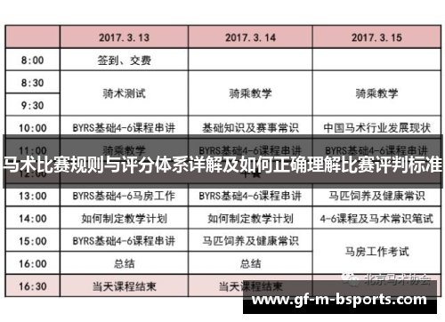 马术比赛规则与评分体系详解及如何正确理解比赛评判标准