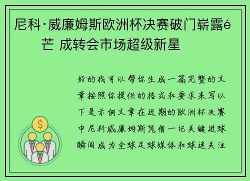 尼科·威廉姆斯欧洲杯决赛破门崭露锋芒 成转会市场超级新星 尼科·威廉姆斯欧洲杯决赛破门崭露锋芒 成转会市场超级新星